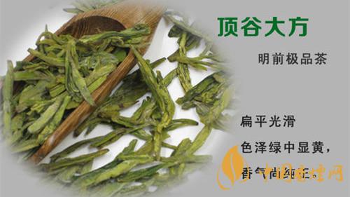 老竹大方茶市場價(jià)多少錢一斤 老竹大方茶市場最新報(bào)價(jià)